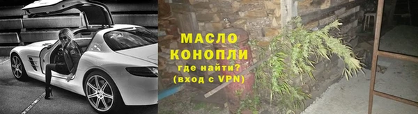 гидра Анжеро-Судженск