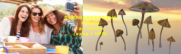 ALPHA PVP Анива