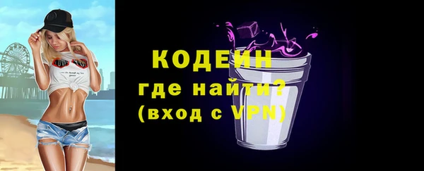 гидра Анжеро-Судженск